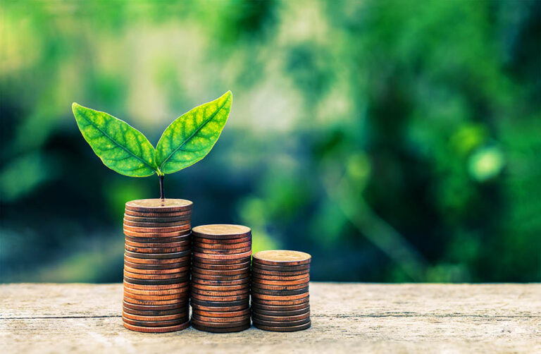 Para qué sirve la economía