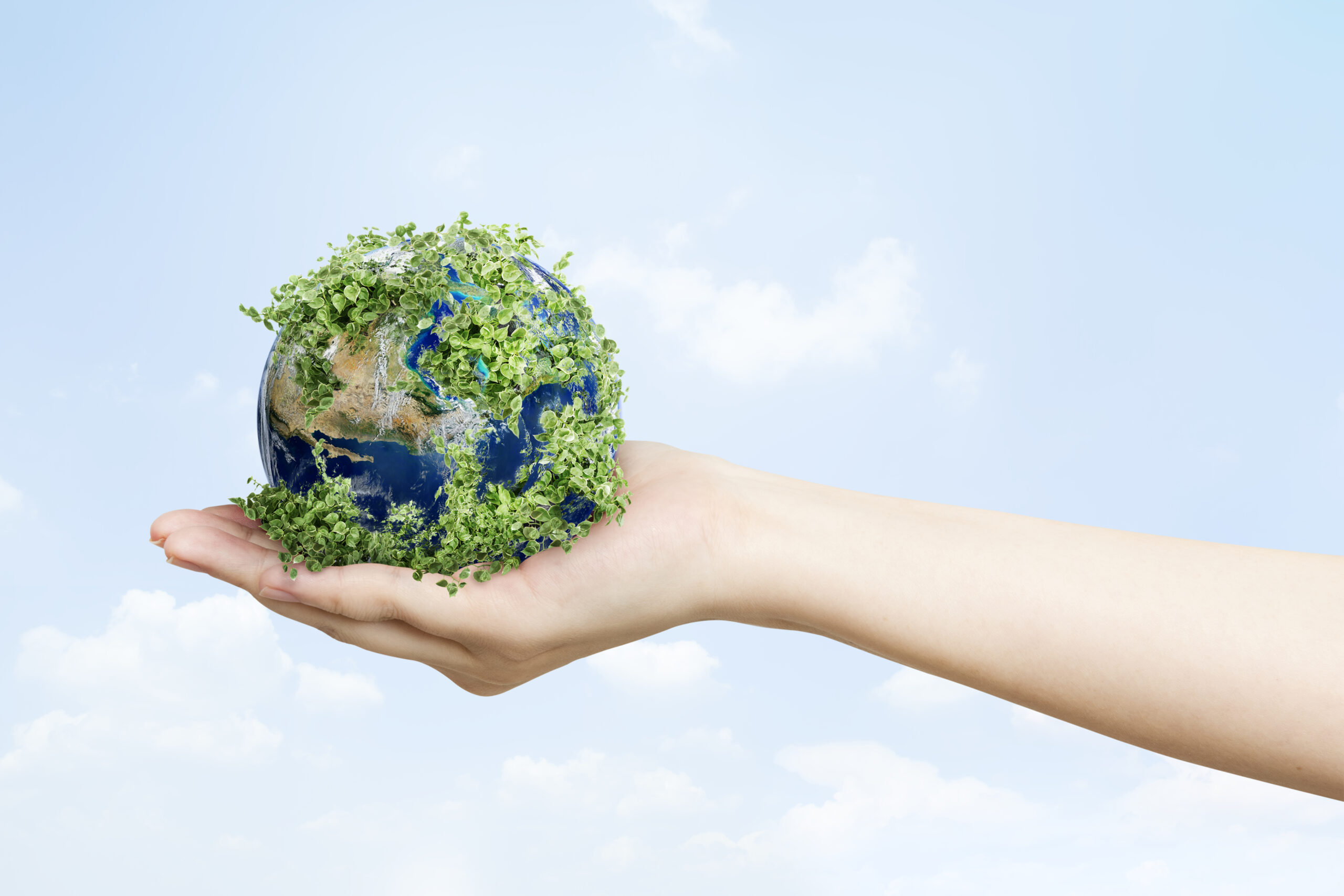 La ecología es una ciencia que tiene enormes implicaciones para nuestra sociedad.