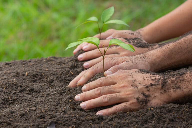 Qué es el estudio de la naturaleza