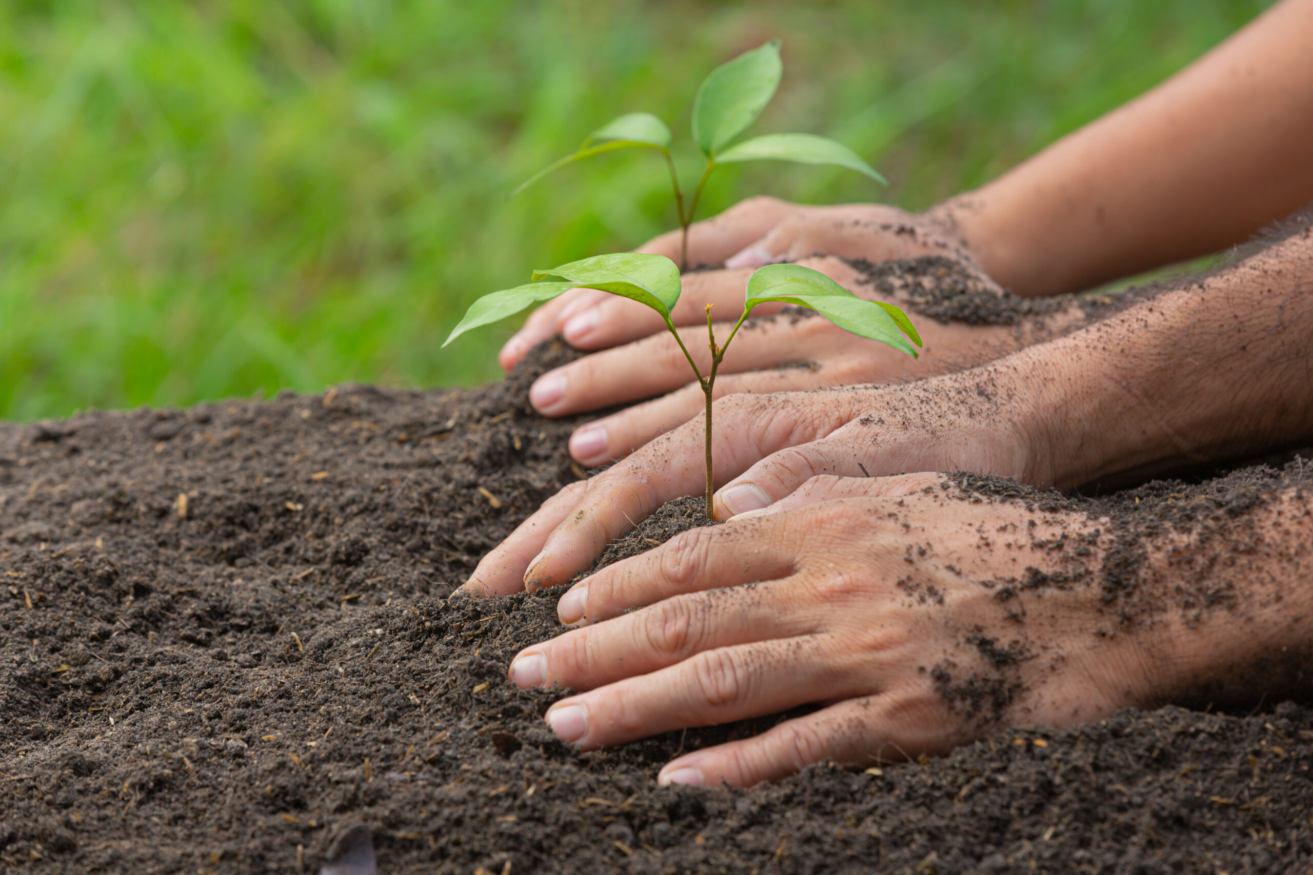 Qué es el estudio de la naturaleza